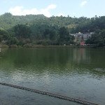 Rewalsar Lake Mandi Himachal Pradesh
