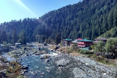 Barot Mandi Himachal Pradesh