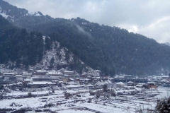 Barot Mandi Himachal Pradesh