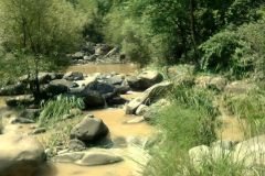 Bhalaridha Village Jogindernagar Mandi Himachal Pradesh