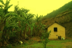 Bhalaridha Village Jogindernagar Mandi Himachal Pradesh