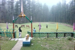 Devidarh Mandi Himachal Pradesh