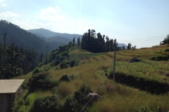 Devidarh Mandi Himachal Pradesh