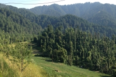 Devidarh Mandi Himachal Pradesh