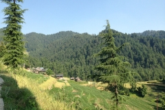 Devidarh Mandi Himachal Pradesh