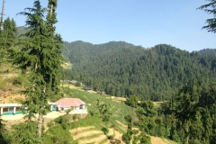 Devidarh Mandi Himachal Pradesh