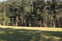 Devidarh Mandi Himachal Pradesh