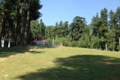 Devidarh Mandi Himachal Pradesh