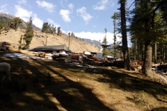 Devidarh Mandi Himachal Pradesh