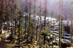 Devidarh Mandi Himachal Pradesh