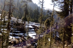 Devidarh Mandi Himachal Pradesh