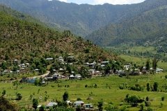 Janjehli Mandi Himachal Pradesh