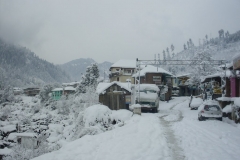 Janjehli Mandi Himachal Pradesh