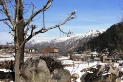 Janjehli Mandi Himachal Pradesh