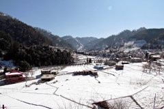 Janjehli Mandi Himachal Pradesh