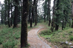 Kamrunag Lake Mandi Himachal Pradesh
