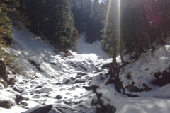 Shikari Devi Mandi Himachal Pradesh