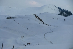 Trekking in winters Prashar Lake Mandi Himachal Pradesh