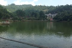Rewalsar Lake Mandi Himachal Pradesh