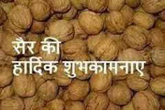 Sair Festival Mandi HP