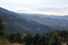 Saroa Chailchowk Mandi Himachal Pradesh