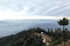 Saroa Chailchowk Mandi Himachal Pradesh