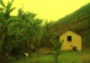 Bhalaridha Bhalaridha Village Mandi HP