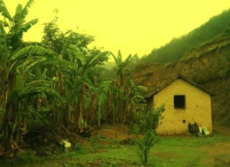 Bhalaridha Bhalaridha Village Mandi HP