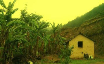 Bhalaridha Bhalaridha Village Mandi HP