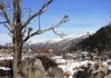 Janjehli Siraj Valley Mandi Himachal Janjehli Mandi Himachal Pradesh