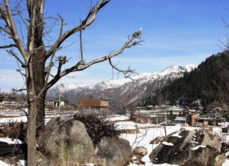 Janjehli Siraj Valley Mandi Himachal Janjehli Mandi Himachal Pradesh
