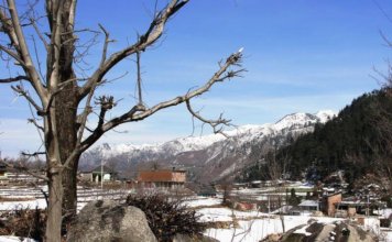 Janjehli Siraj Valley Mandi Himachal Janjehli Mandi Himachal Pradesh